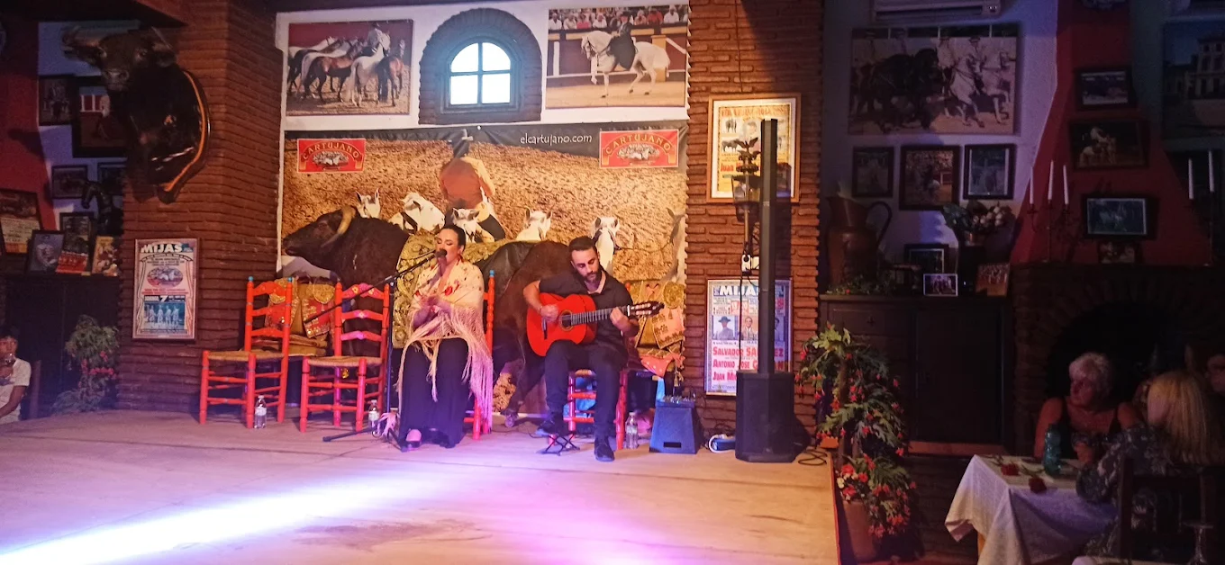 Espectáculo flamenco en Fuengirola