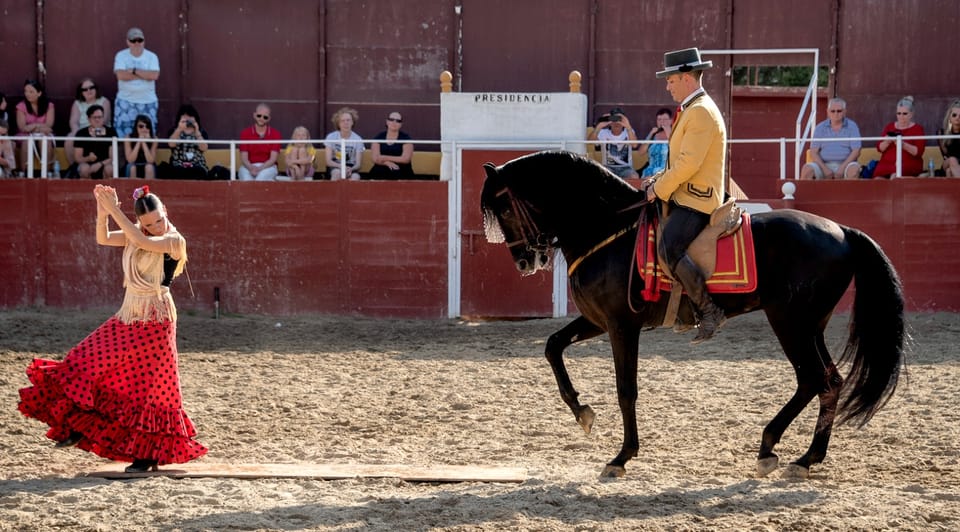 Espectáculo de caballos en Fuengirola