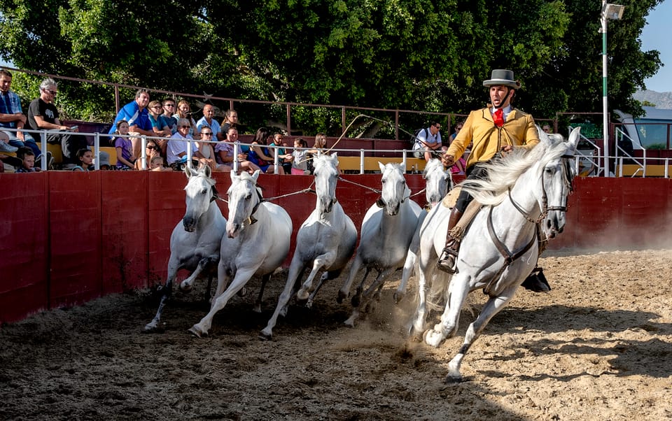 Espectáculo de caballos en Fuengirola