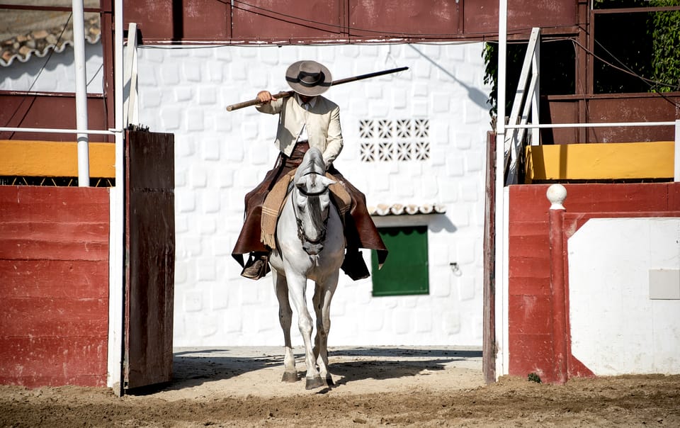 Espectáculo ecuestre cartujano