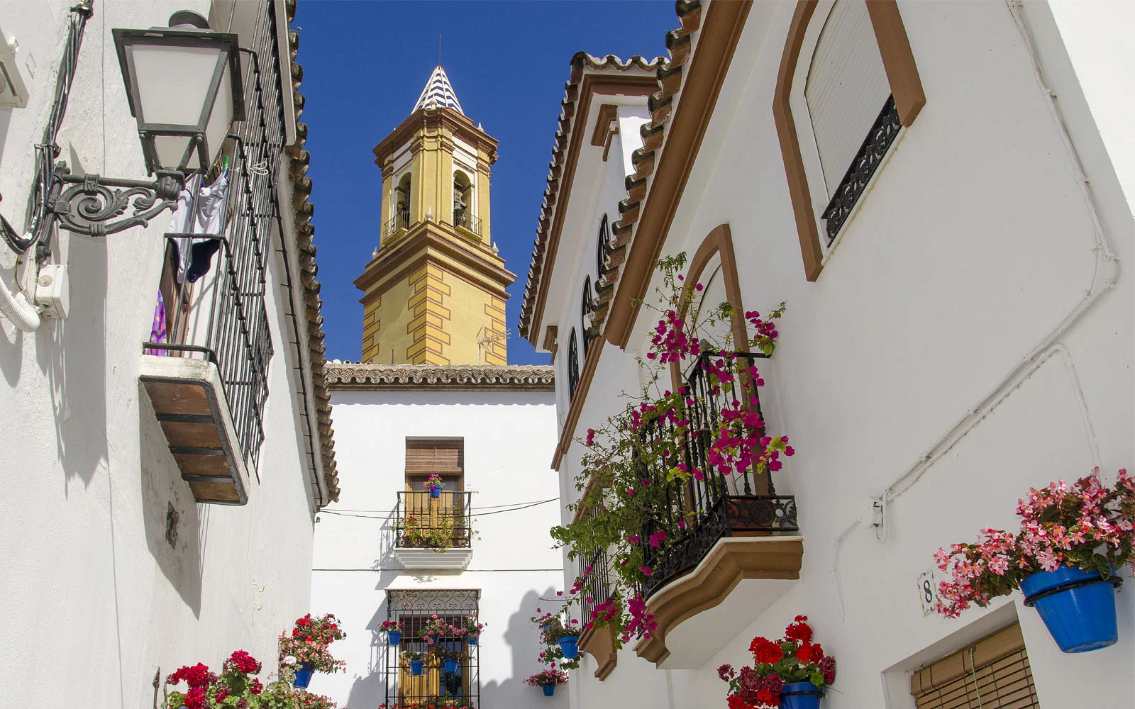 Visita guiada a Estepona en bicicleta