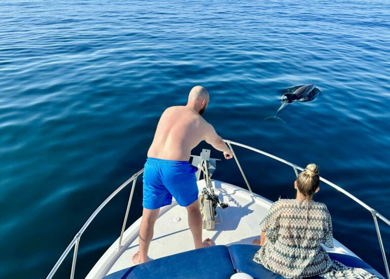 Dolphin Tour en Benalmádena