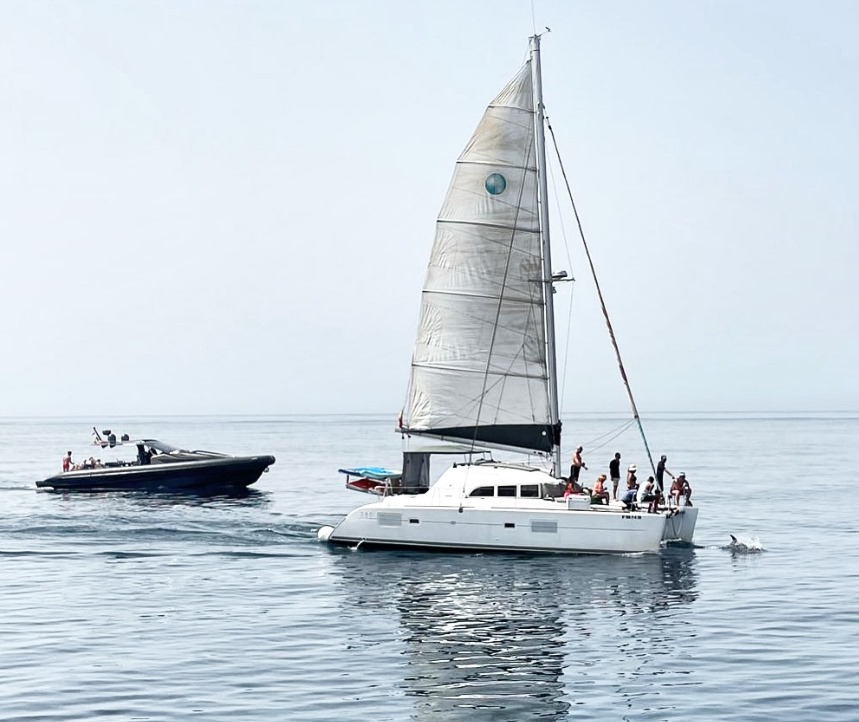 Avistamiento de delfines en Marbella