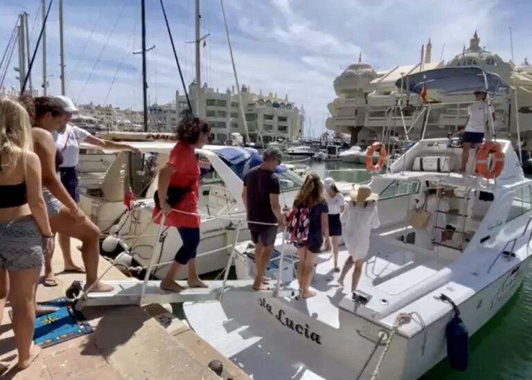 Dolphin Tour en Benalmádena