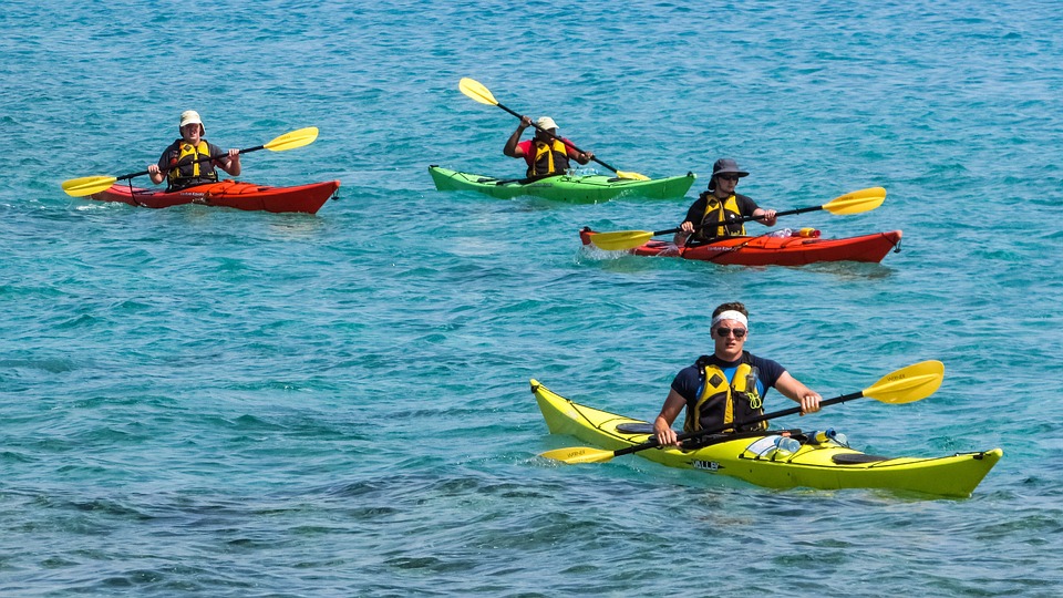 Ruta Guiada en Kayak